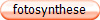 fotosynthese