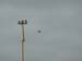 Cansat (3)