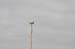 Onze CanSat (3)